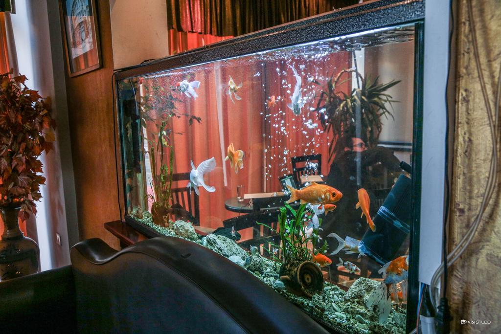 Hotel Regency Корча Екстериор снимка